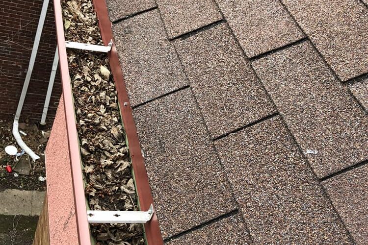 Accurate Roof Management | Gutters | Leaves