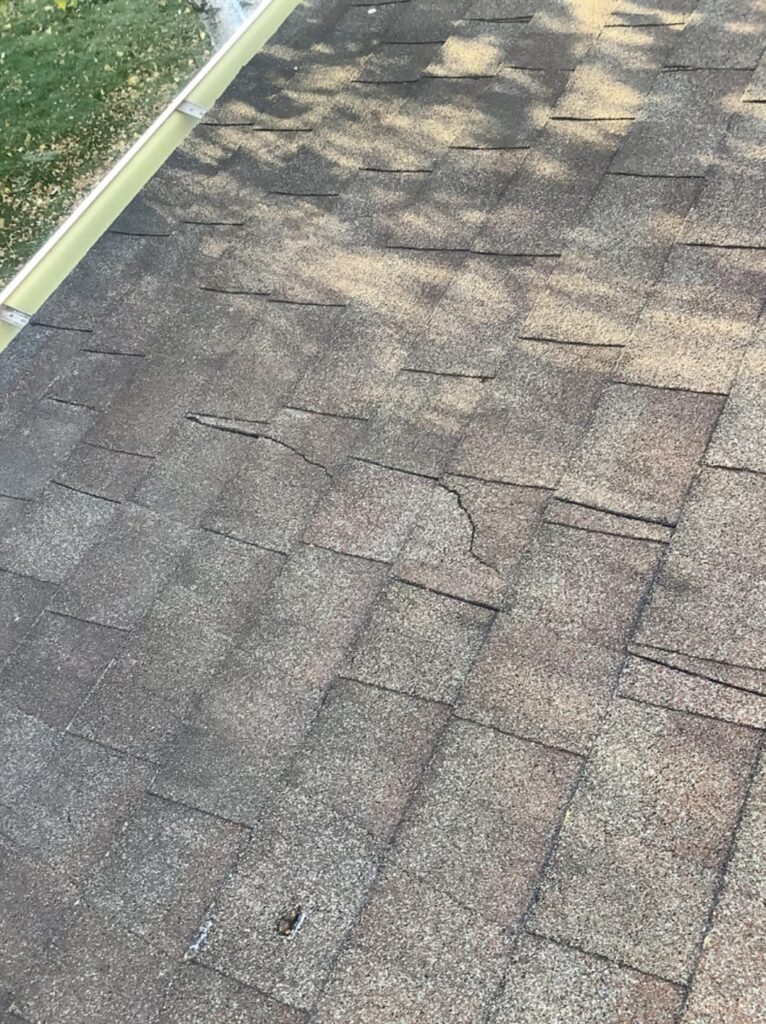 Accurate Roof Management | Inspections | Ripped Shingles